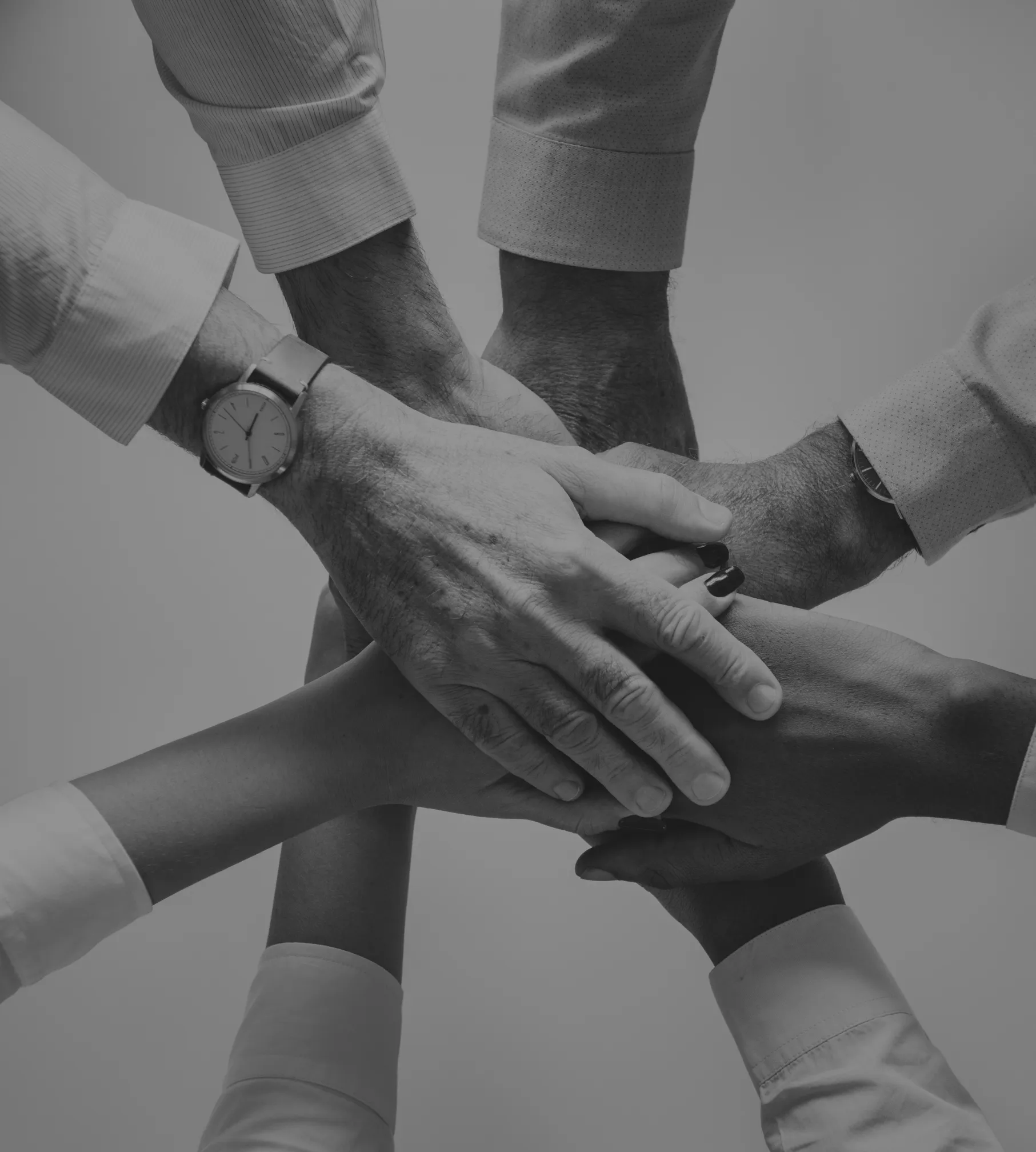 Zimtech Solutions Difference