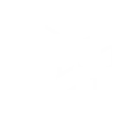 E-commerce Development