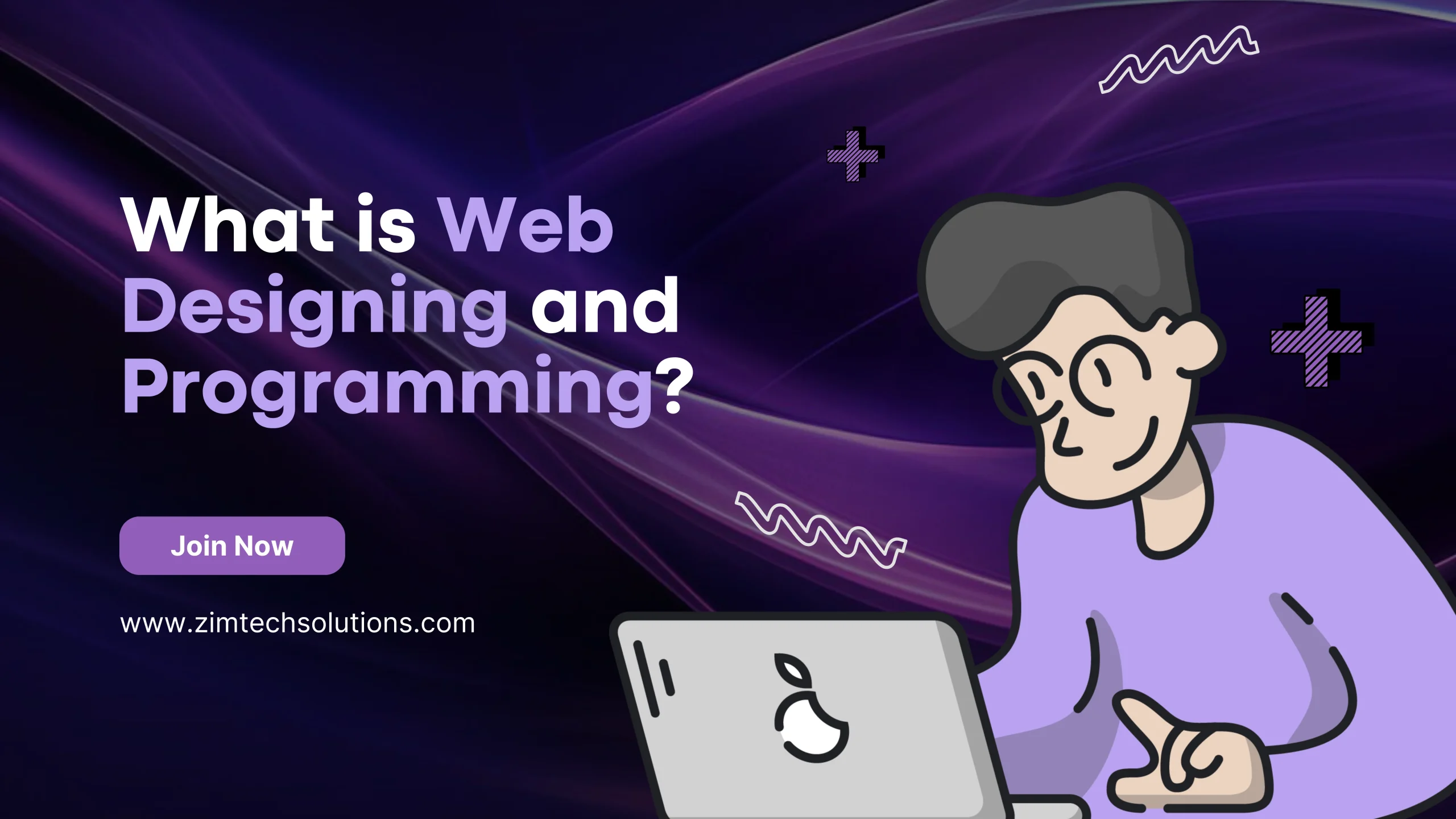 What is Web Designing and Programming? | Expert Brand